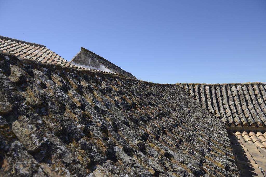 Casa Rural Las Cadenas Del Cananeo Arcos de la Frontera Dış mekan fotoğraf