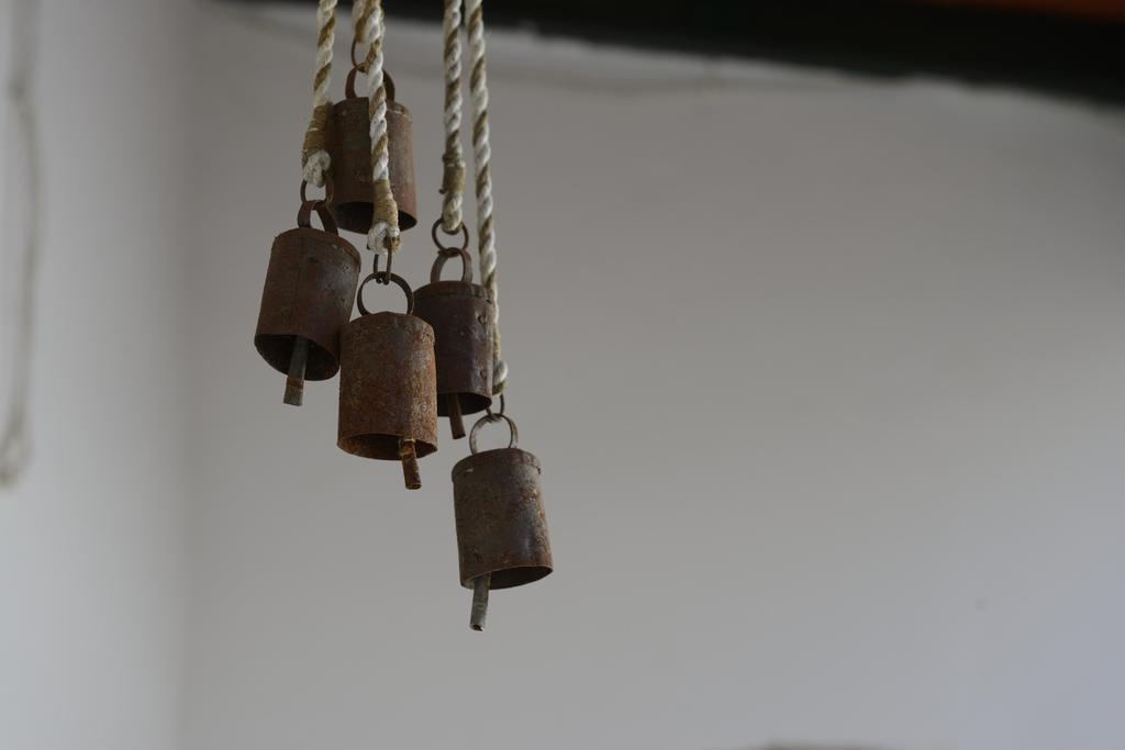 Casa Rural Las Cadenas Del Cananeo Arcos de la Frontera Dış mekan fotoğraf