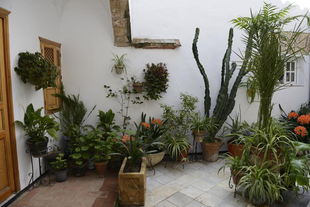 Casa Rural Las Cadenas Del Cananeo Arcos de la Frontera Dış mekan fotoğraf